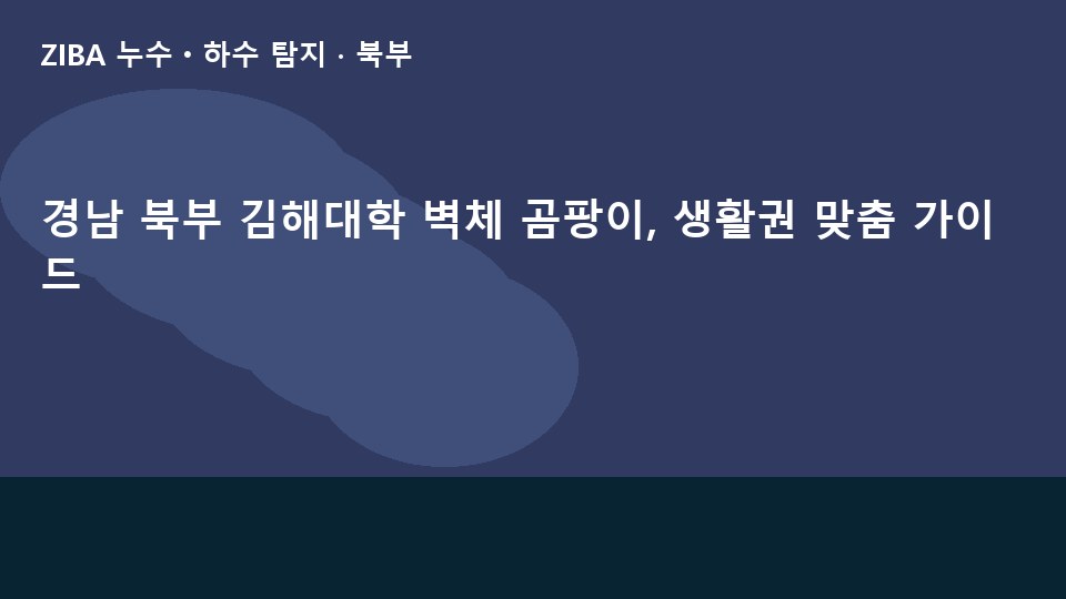경남 북부 김해대학 벽체 곰팡이, 생활권 맞춤 가이드